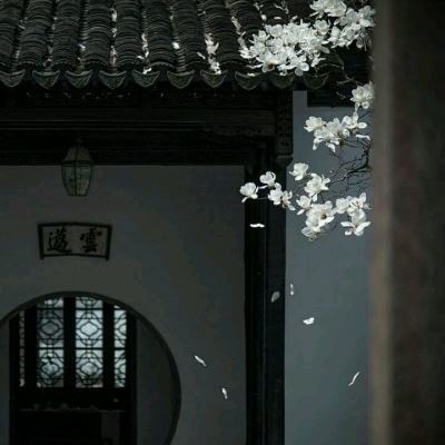 蜀汉神途ol官方版下载